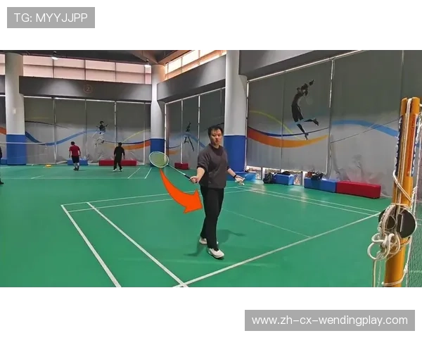 羽毛球视频赏析