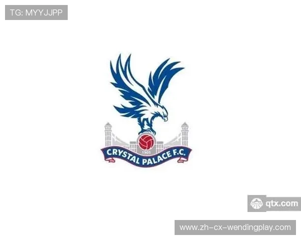 英超南海岸球队介绍